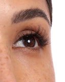 ULTIMATE NATURAL JET SETTER SET