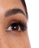 MAJOR LIFT + TWZR 1.0